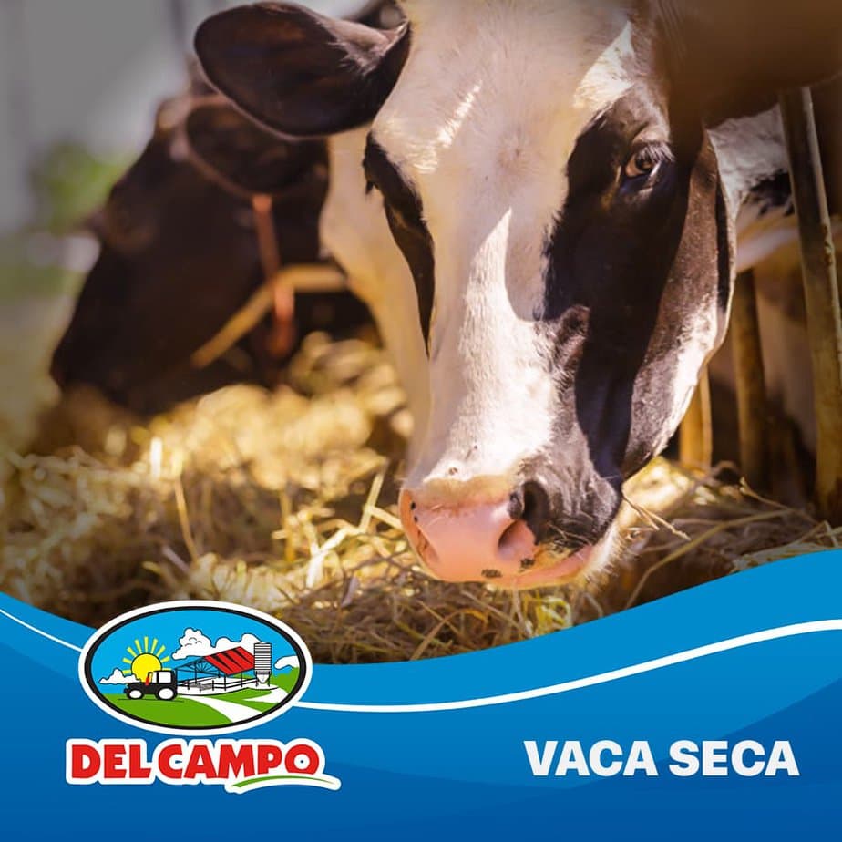 VACA SECA