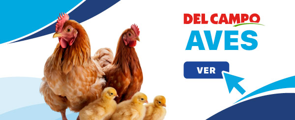 Concentrados para Aves