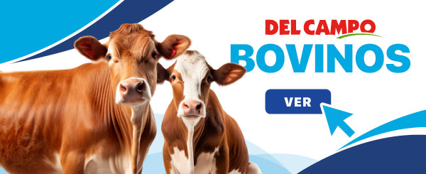 Concentrados para Bovinos