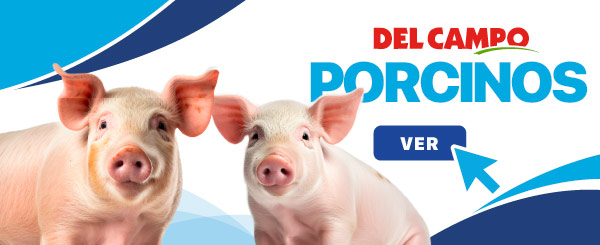 Concentrados para Porcinos