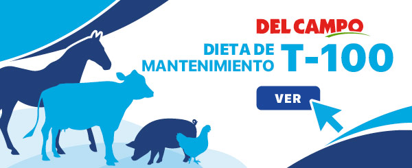 Concentrados para Mantenimiento T·100