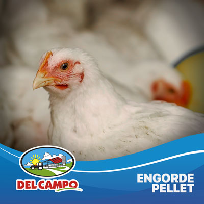 aves engorde pellet